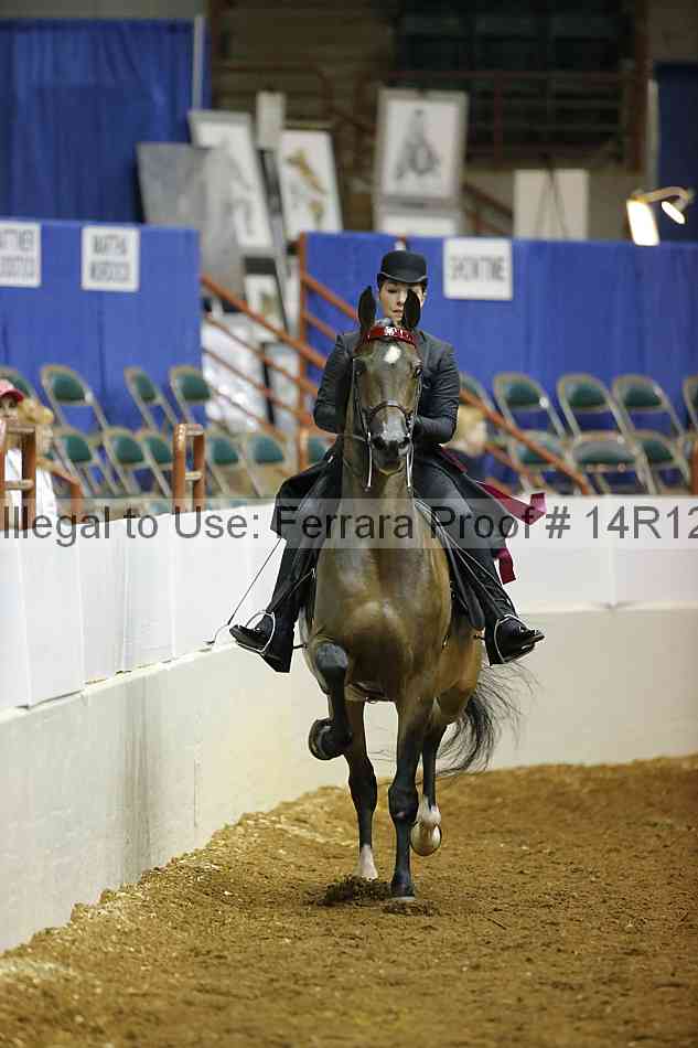 Proof Number 14r12_3509