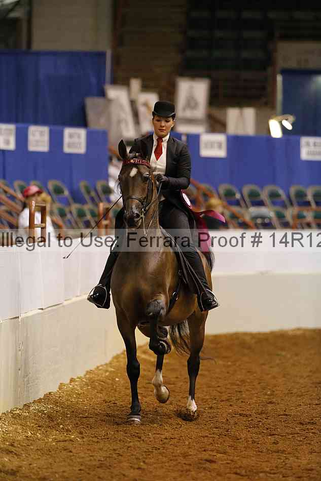 Proof Number 14r12_3510