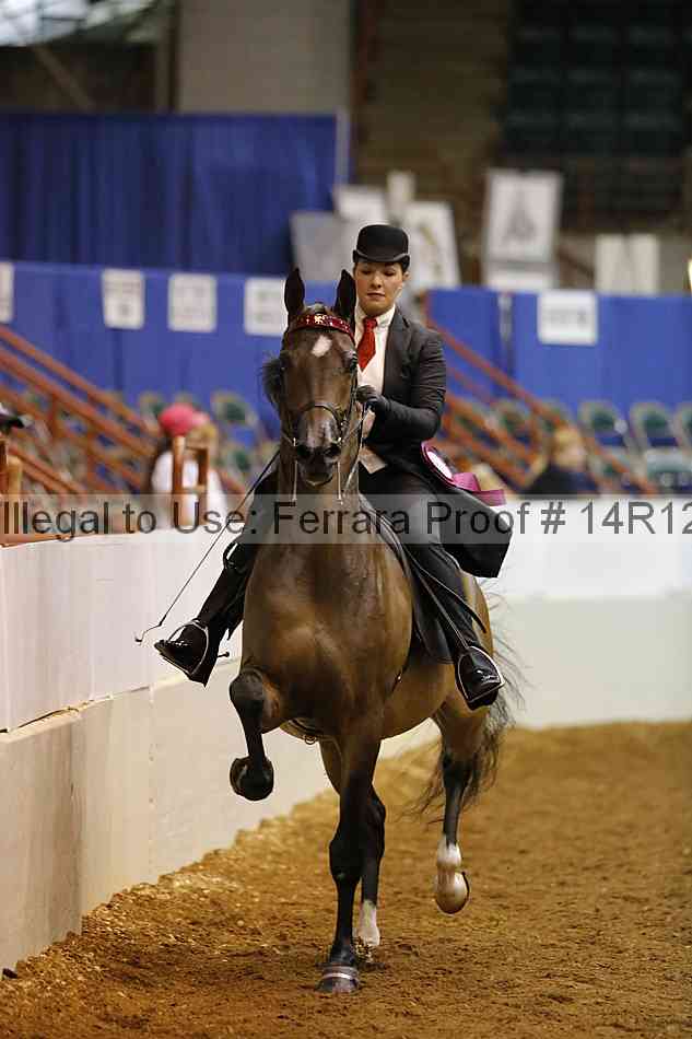 Proof Number 14r12_3512