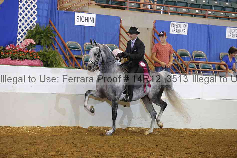 Proof Number 14r12_3513