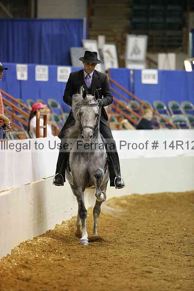 Proof Number 14r12_3515