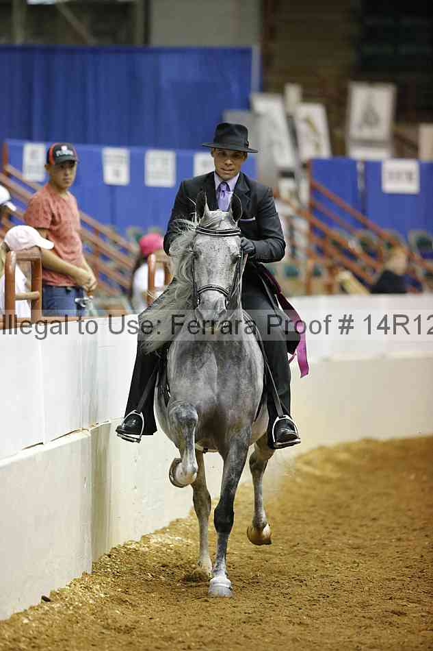 Proof Number 14r12_3516