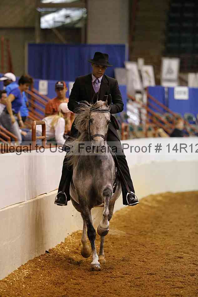 Proof Number 14r12_3517