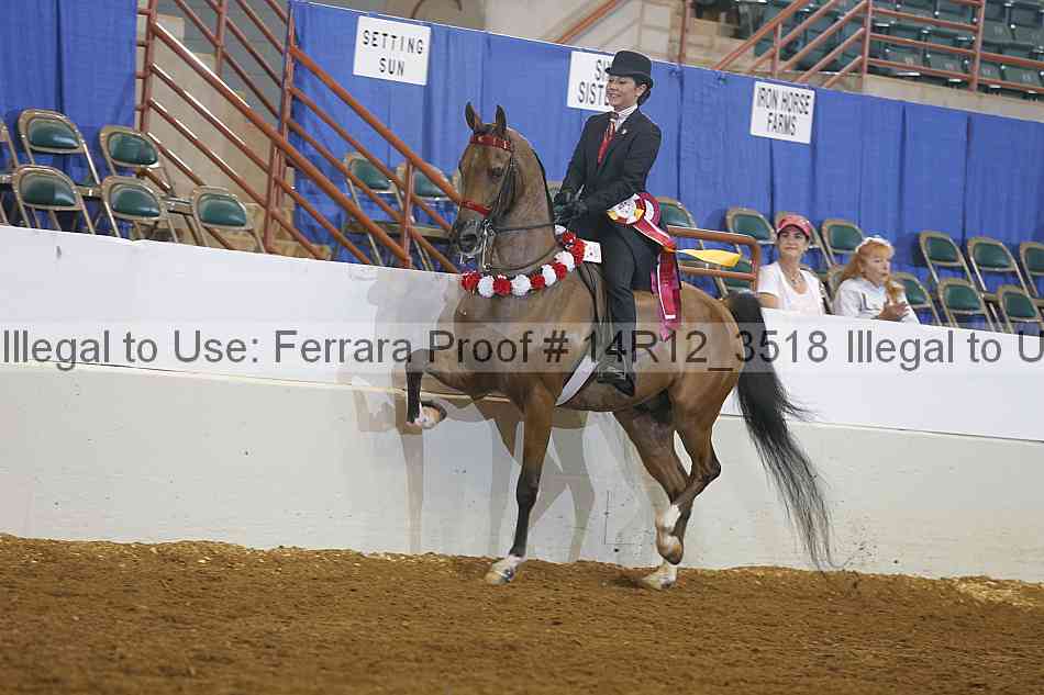 Proof Number 14r12_3518