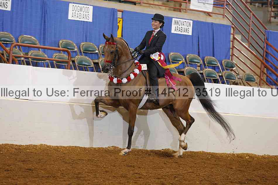Proof Number 14r12_3519