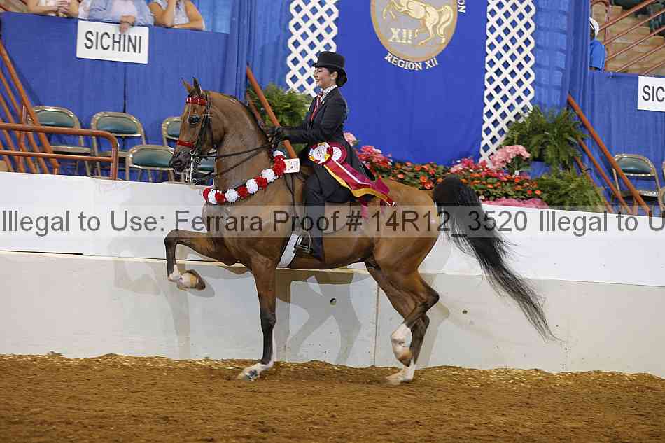 Proof Number 14r12_3520