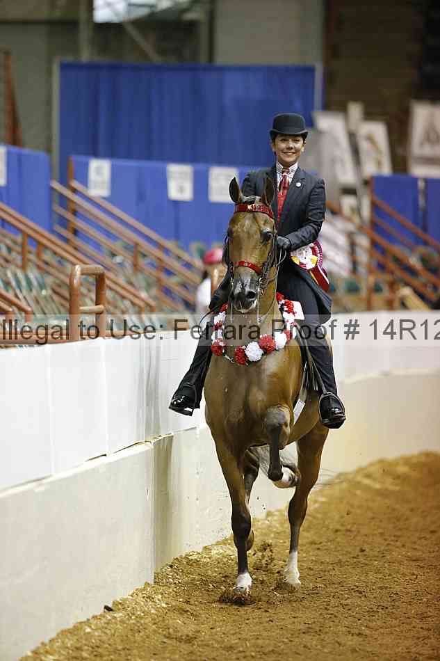 Proof Number 14r12_3522