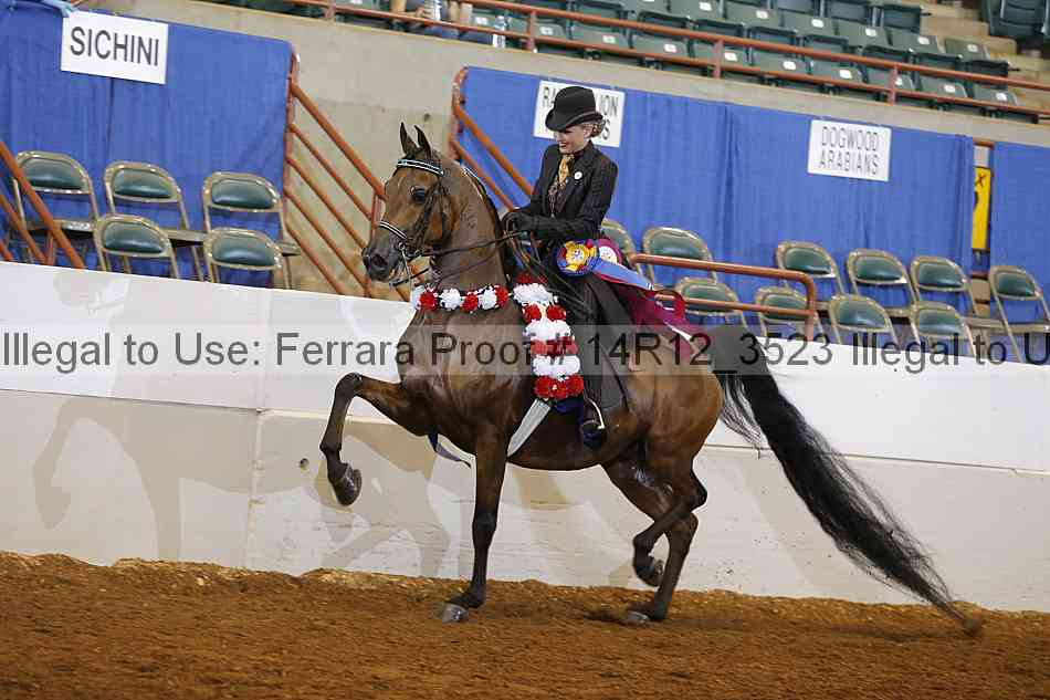 Proof Number 14r12_3523