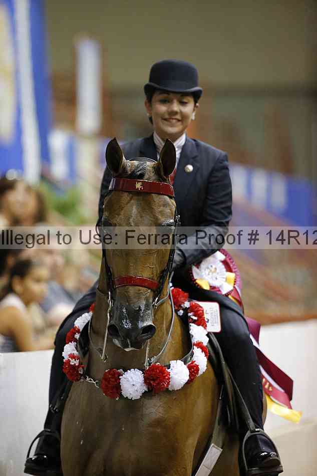 Proof Number 14r12_3526