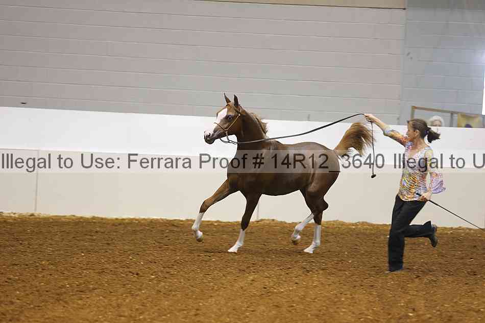 Proof Number 14r12_3640