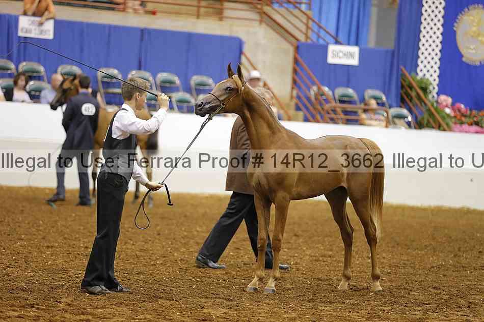 Proof Number 14r12_3662