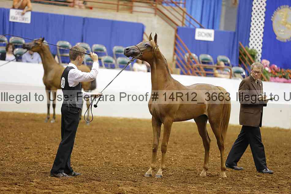 Proof Number 14r12_3663