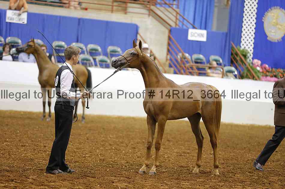 Proof Number 14r12_3664
