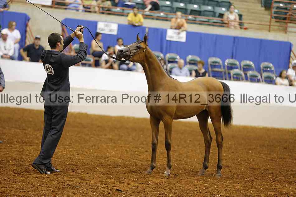 Proof Number 14r12_3666