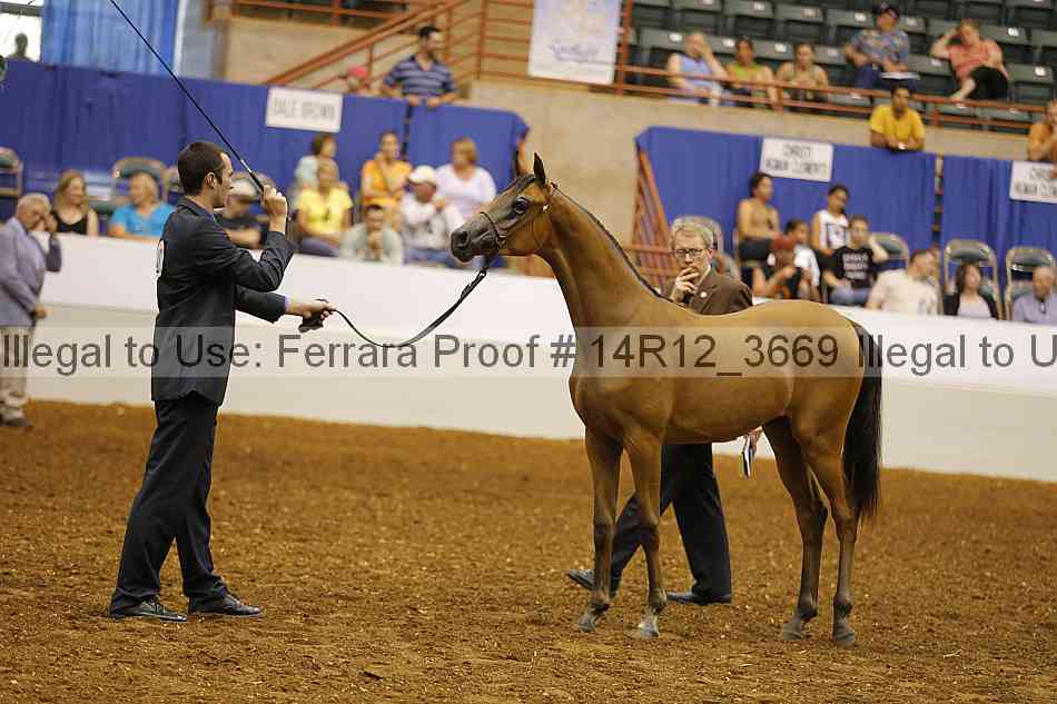 Proof Number 14r12_3669