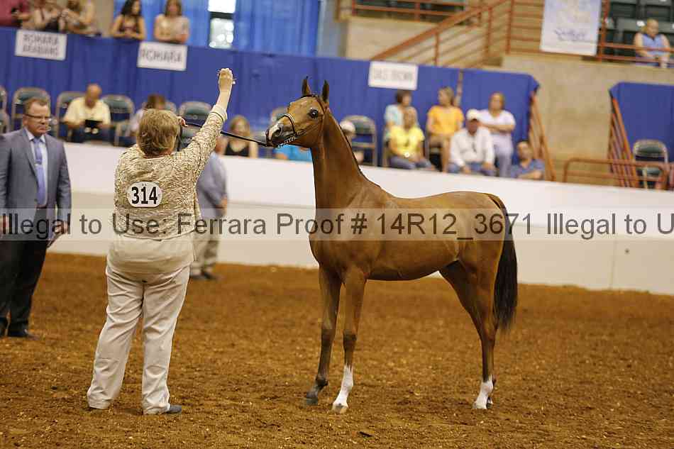 Proof Number 14r12_3671