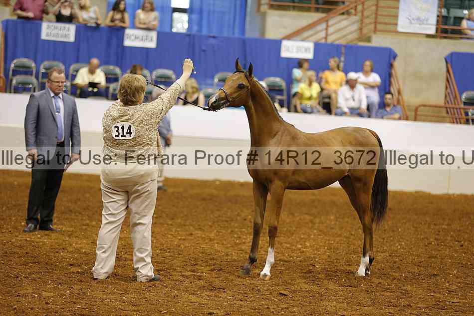 Proof Number 14r12_3672