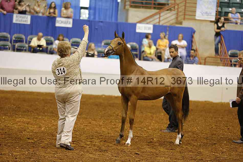 Proof Number 14r12_3673