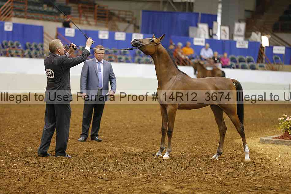 Proof Number 14r12_3674