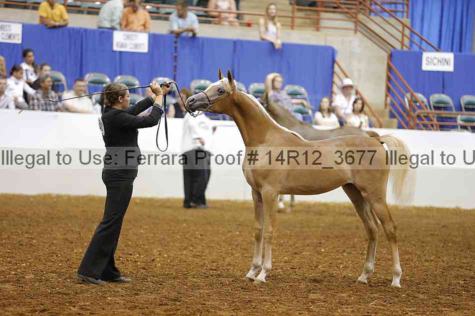 Proof Number 14r12_3677