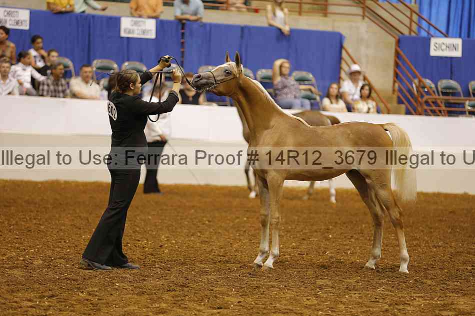 Proof Number 14r12_3679