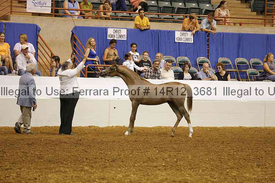 Proof Number 14r12_3681