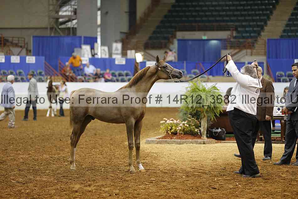 Proof Number 14r12_3682