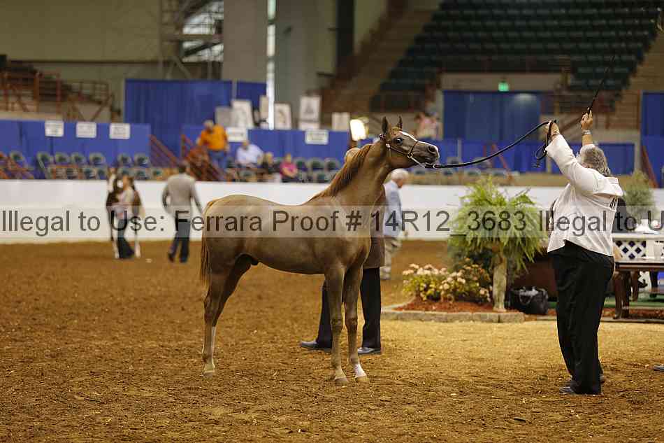 Proof Number 14r12_3683