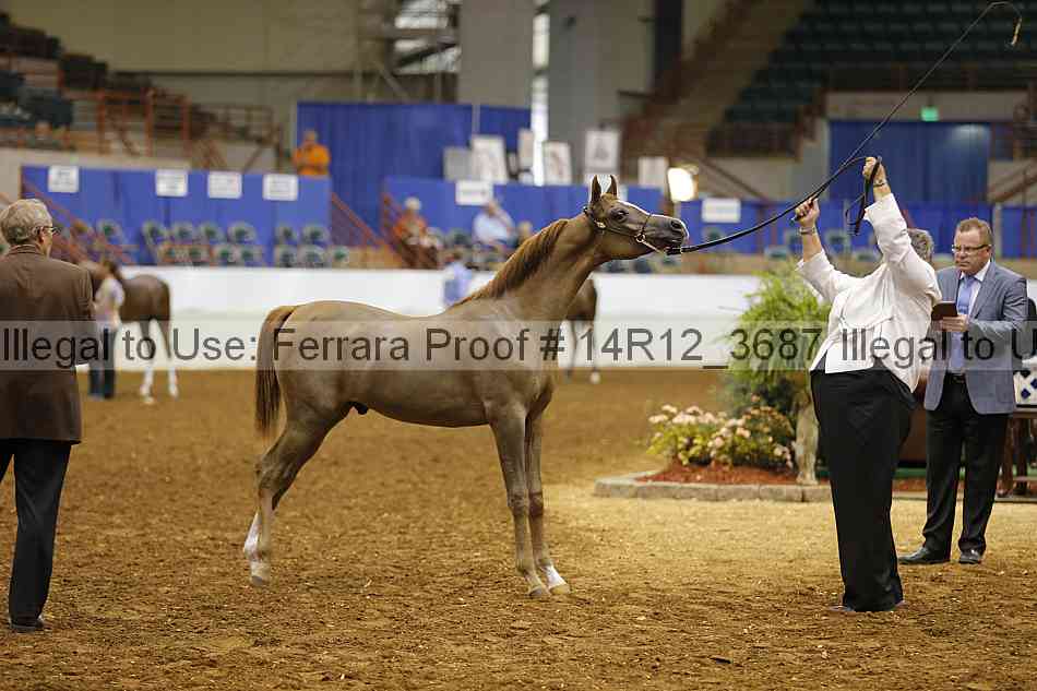 Proof Number 14r12_3687