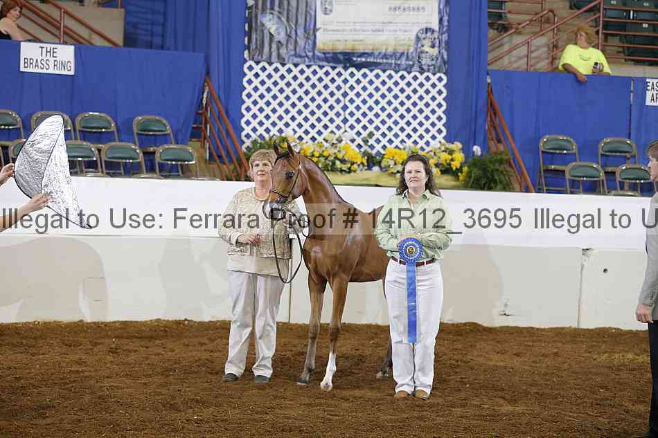 Proof Number 14r12_3695