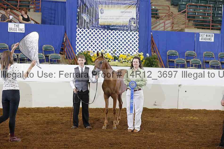 Proof Number 14r12_3697