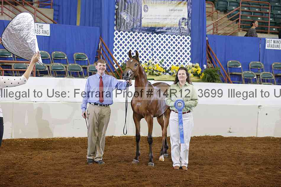 Proof Number 14r12_3699