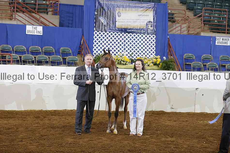 Proof Number 14r12_3701