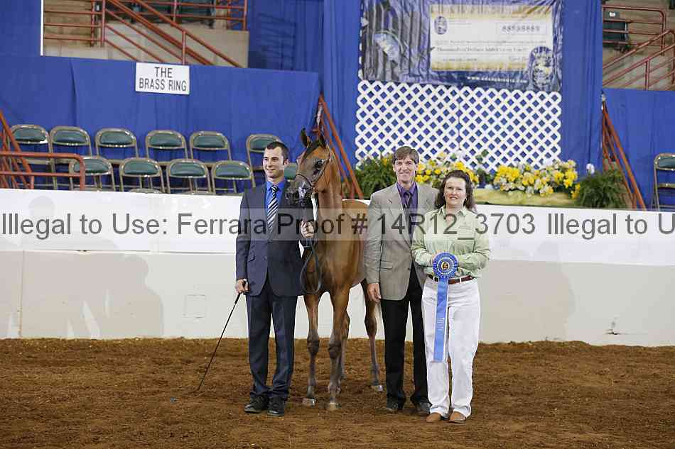 Proof Number 14r12_3703