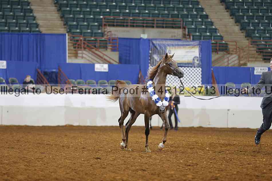 Proof Number 14r12_3713