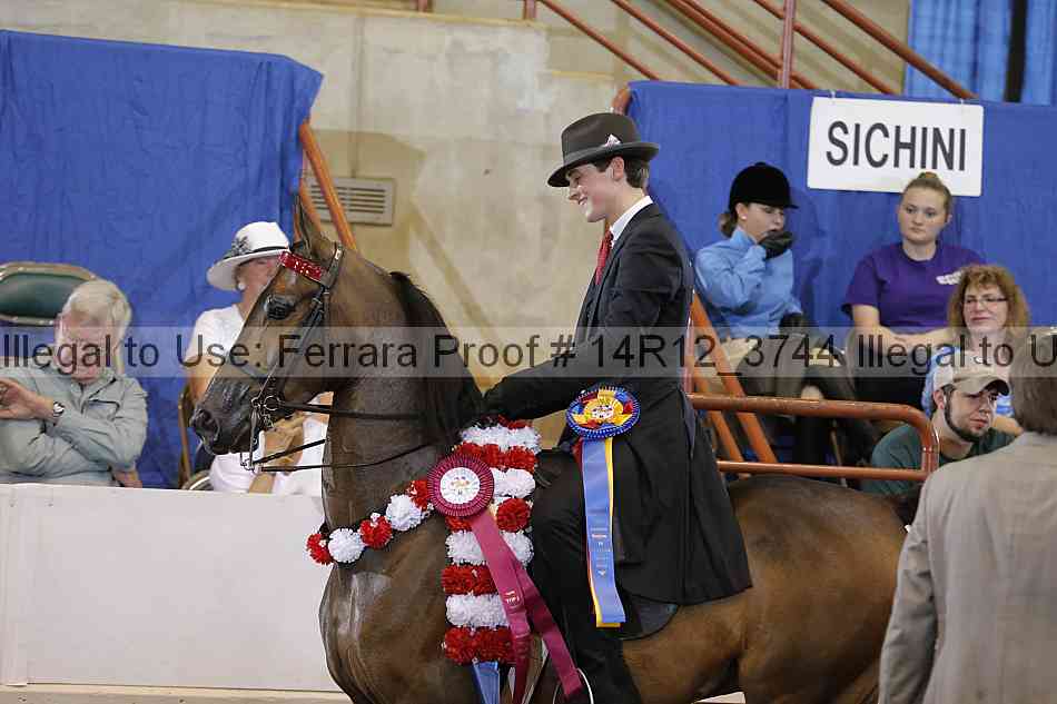 Proof Number 14r12_3744