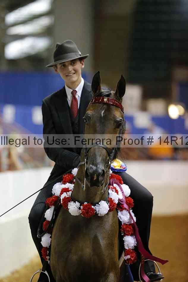 Proof Number 14r12_3748