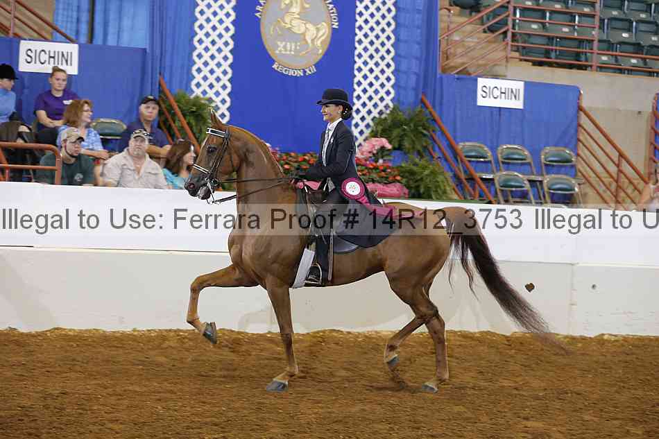 Proof Number 14r12_3753