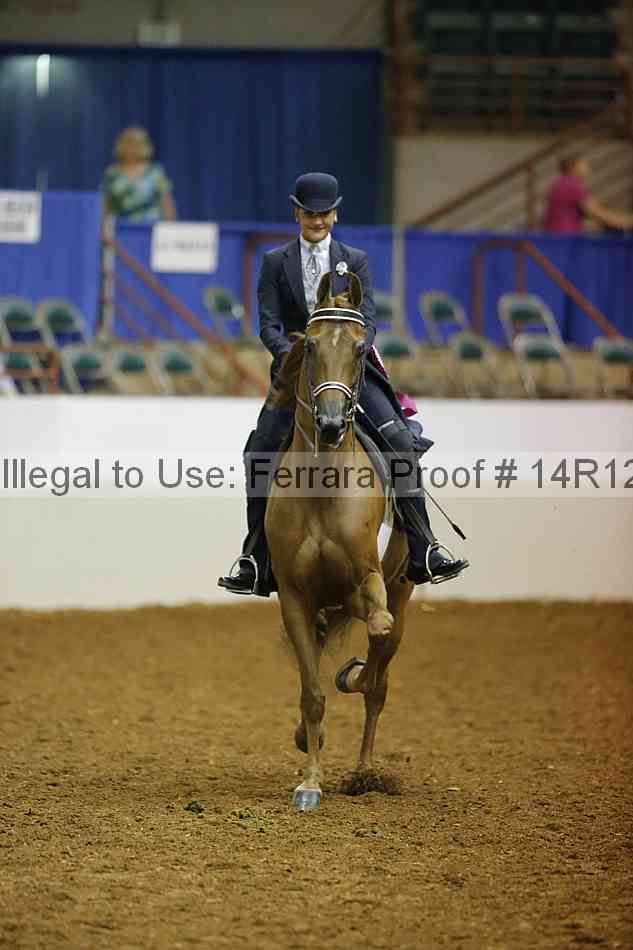 Proof Number 14r12_3754