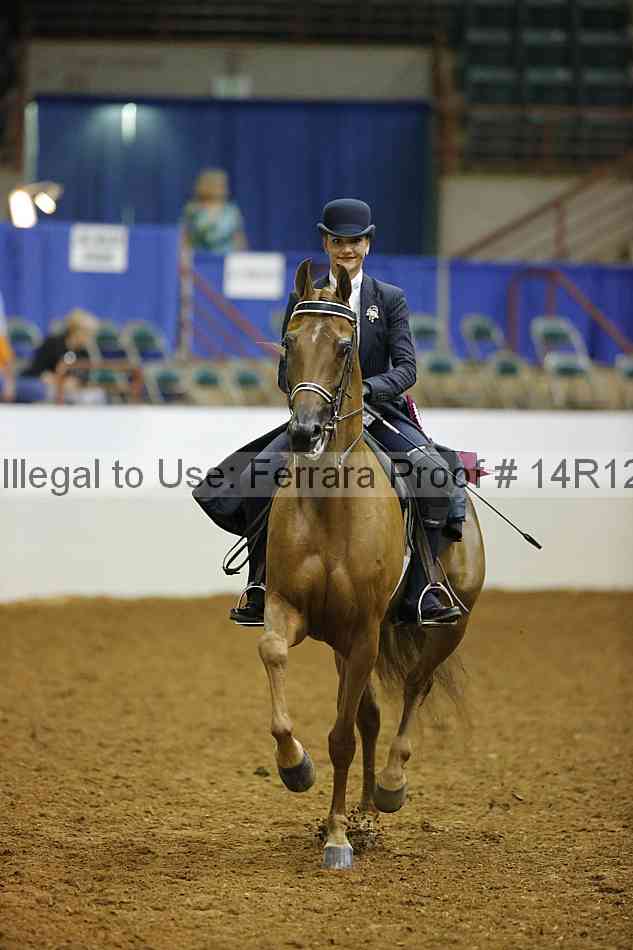 Proof Number 14r12_3755