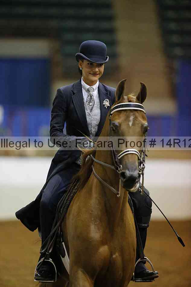 Proof Number 14r12_3756