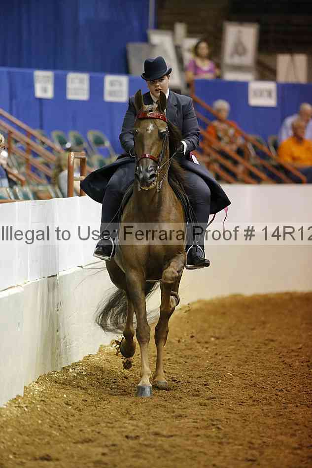 Proof Number 14r12_3760