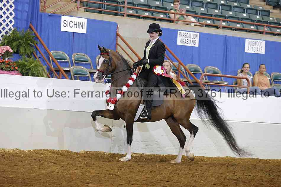 Proof Number 14r12_3761