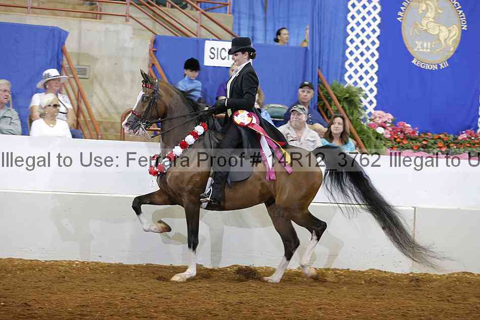 Proof Number 14r12_3762