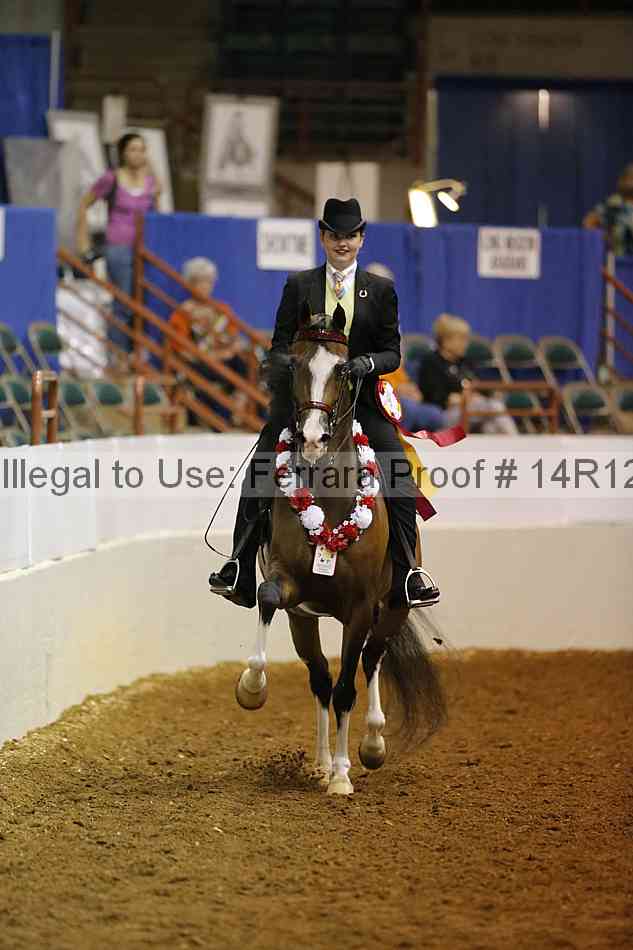 Proof Number 14r12_3764