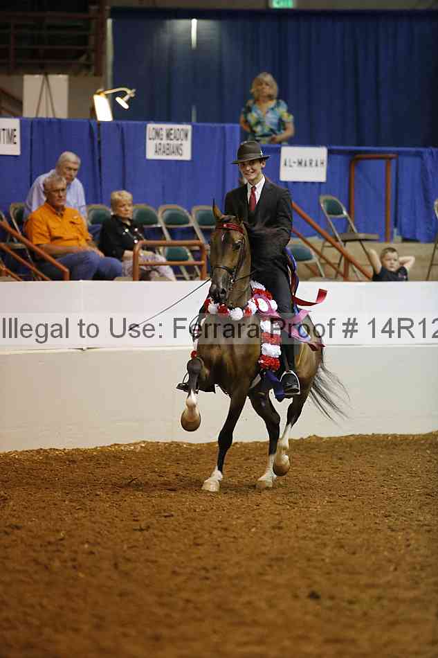 Proof Number 14r12_3770
