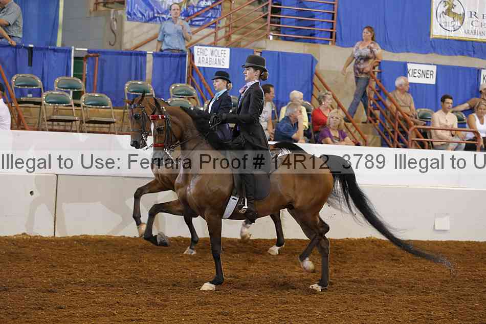 Proof Number 14r12_3789