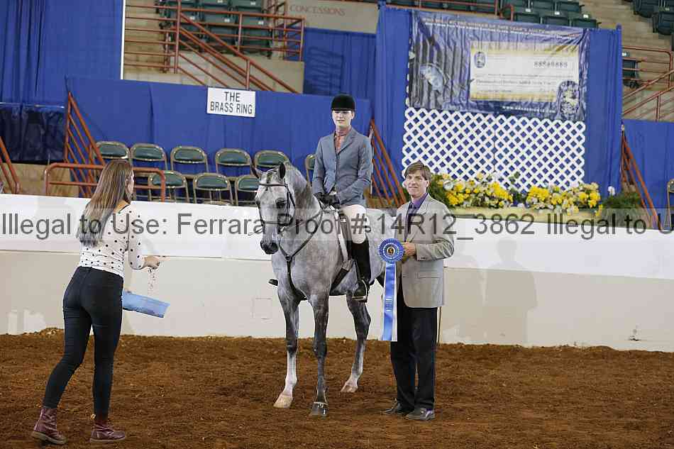 Proof Number 14r12_3862