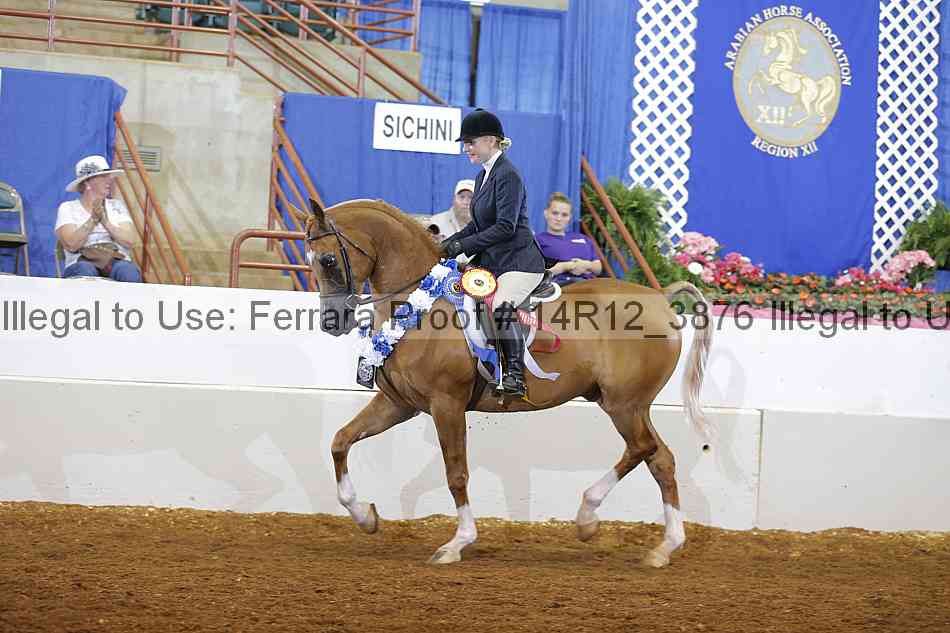 Proof Number 14r12_3876