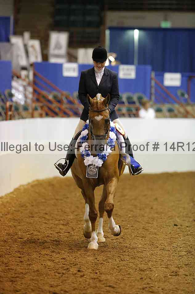 Proof Number 14r12_3877